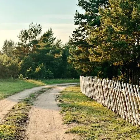 Bird Nest Vakantiehuis