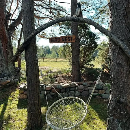 Дом отдыха Bird Nest *