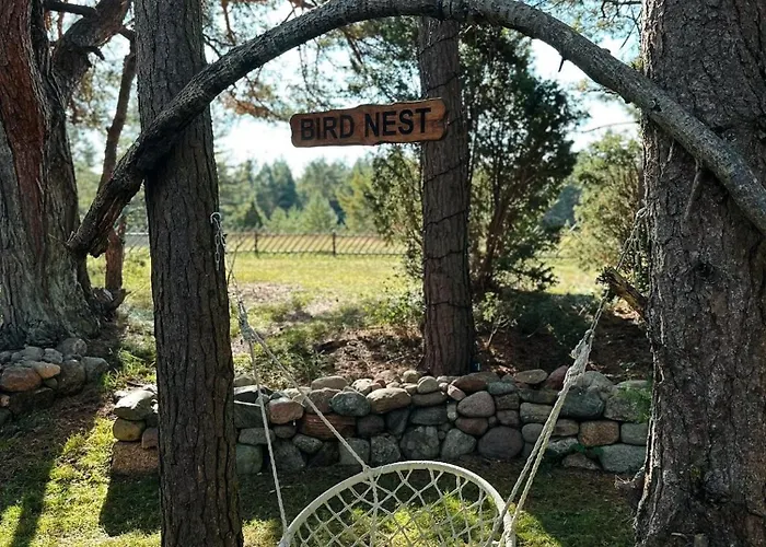 Vikendica Bird Nest *